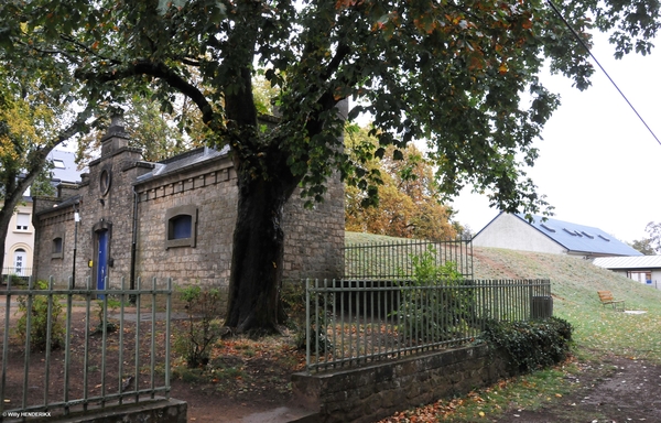 L_LUXEMBOURG AVENUE DE BOIS 20180923 (9C)