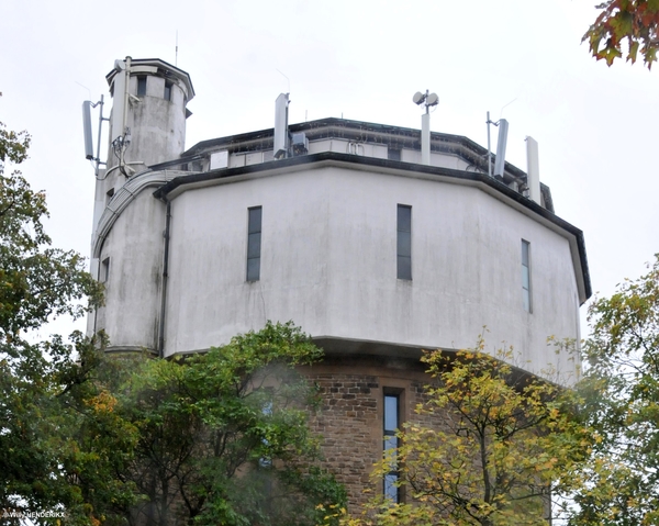 L_LUXEMBOURG KOHLENBERG & RUE TUBIS 20180923_3