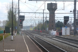 DENDERLEEUW 201304xx_1