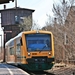 DB_FORST (LAUSITZ) mit ODEG 650 083-8 20110329