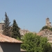 Provence (619)