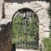 Provence (696)
