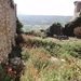 Provence (1024)