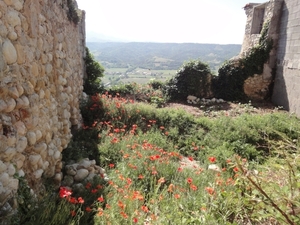 Provence (1024)