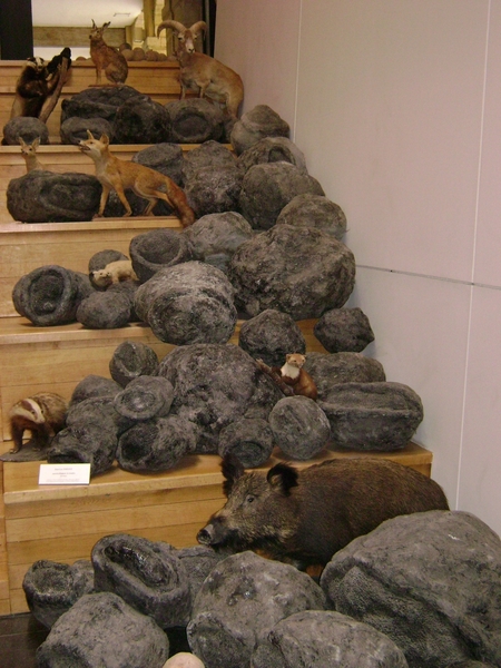 090517 Chimay Rocroi B CharlevilleMez  Montherme Givet F Freyr B