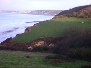 091101 naar Normandie Seine Maritime 132