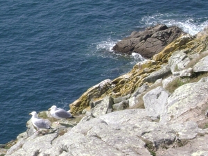 100404 Bretagne van StMalo tot Vitré 183