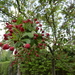 DSCN0166