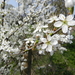 DSCN0068