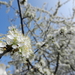 DSCN0116