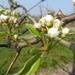 DSCN0080