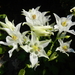 DSCN0321