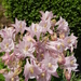 DSCN0324