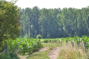 050