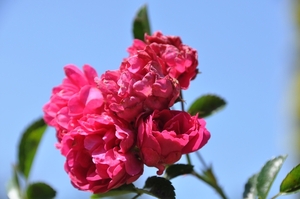 038