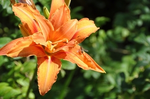 052