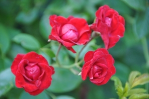 057