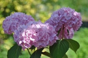 058