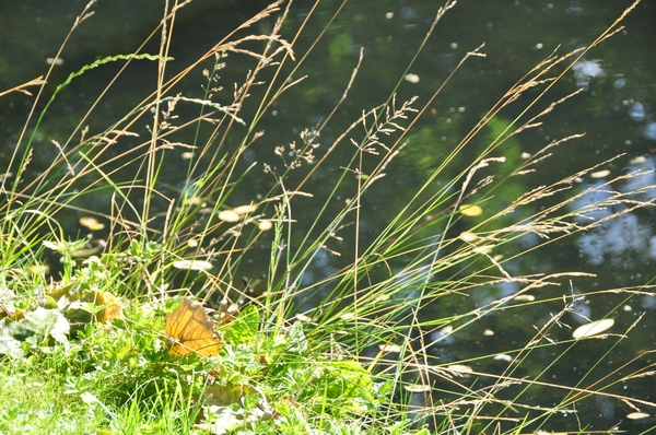 001 ODE AAN HET BRUGSE OMELAND....