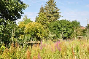 001 RICHTEN, ADEMEN EN KLIKKEN...HET NATUURPALET!