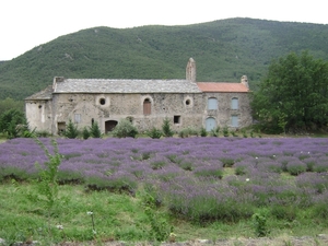 100730 Pyreneeën LanguedocRousillon NoordSpanje 155