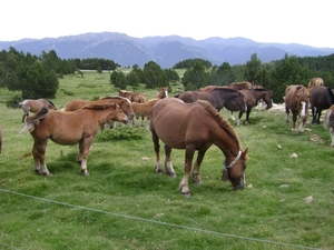 100730 Pyreneeën LanguedocRousillon NoordSpanje 218