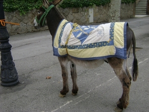 100730 Pyreneeën LanguedocRousillon NoordSpanje 260 BERGA