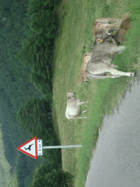 100730 Pyreneeën LanguedocRousillon NoordSpanje 267