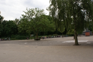 DSC09824