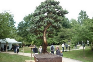 bonsai japanse tuin 002