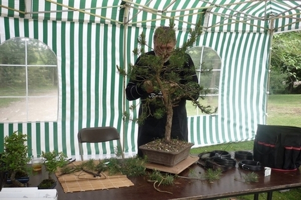 bonsai japanse tuin 007