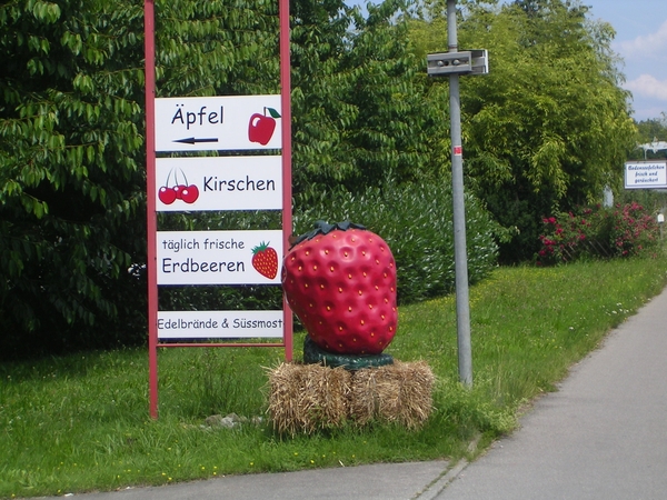 Onze reis naar de Bodensee (Lindau) 12-06-2011 tot19-06-2011 061