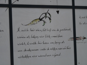 P1000992
