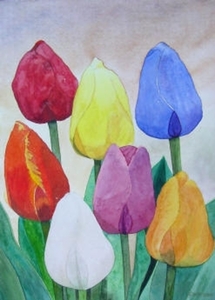 blauwe tulp