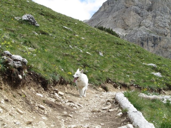 20110705 016 AV1-Falzarego-DibonaHut