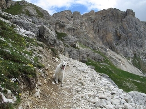 20110705 018 AV1-Falzarego-DibonaHut