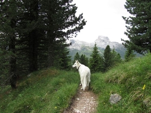 20110706 046 AV1-5TorriHut