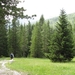 20110706 050 AV1-5TorriHut