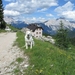 20110706 058 AV1-5TorriHut