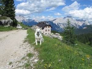 20110706 058 AV1-5TorriHut