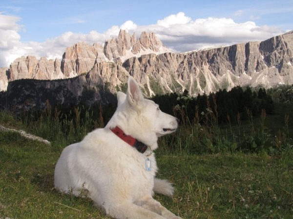 20110706 081 AV1-5TorriHut - CrodaDaLago