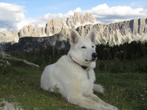 20110706 082 AV1-5TorriHut - CrodaDaLago