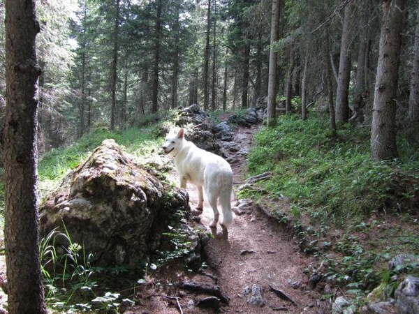 20110707 101 AV1-RifCrodaDaLago