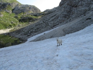 20110710 255 AV1-RifTissi