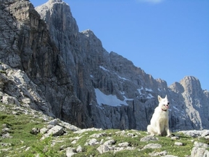 20110710 263 AV1-RifTissi - MCivetta