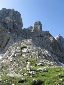 20110710 264 AV1-RifTissi - MCivetta