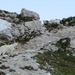 20110710 271 AV1-RifTissi