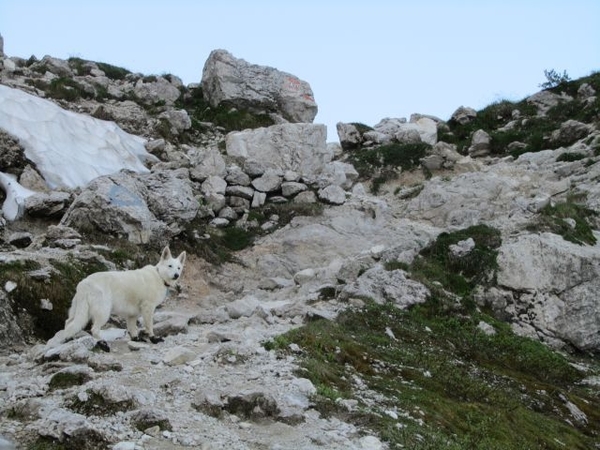 20110710 271 AV1-RifTissi