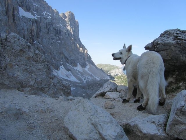 20110710 273 AV1-RifTissi