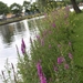 20110619 Brugge 188 (49)